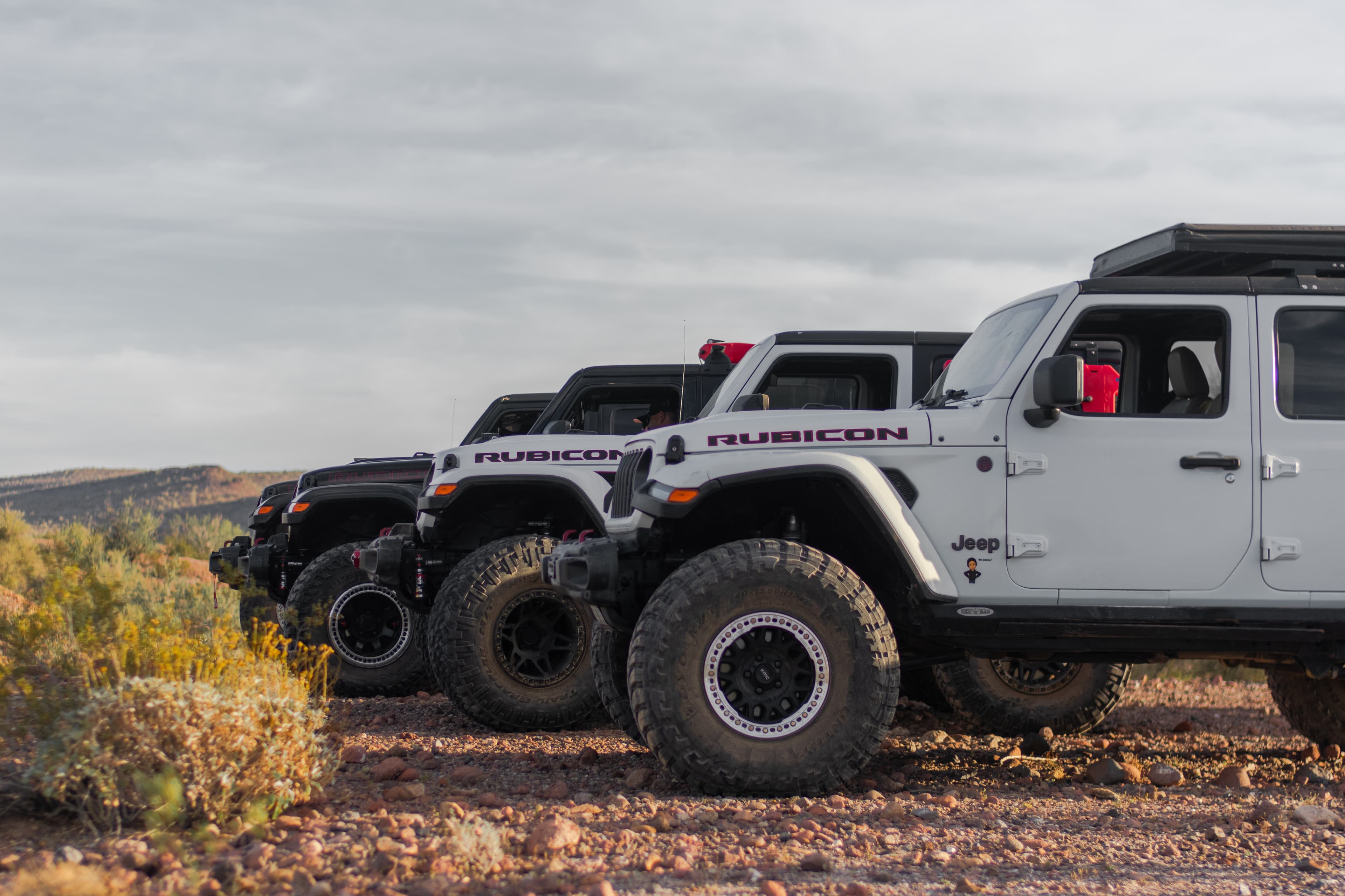 Rear view of a Jeep Wrangler with roof-mounted lights